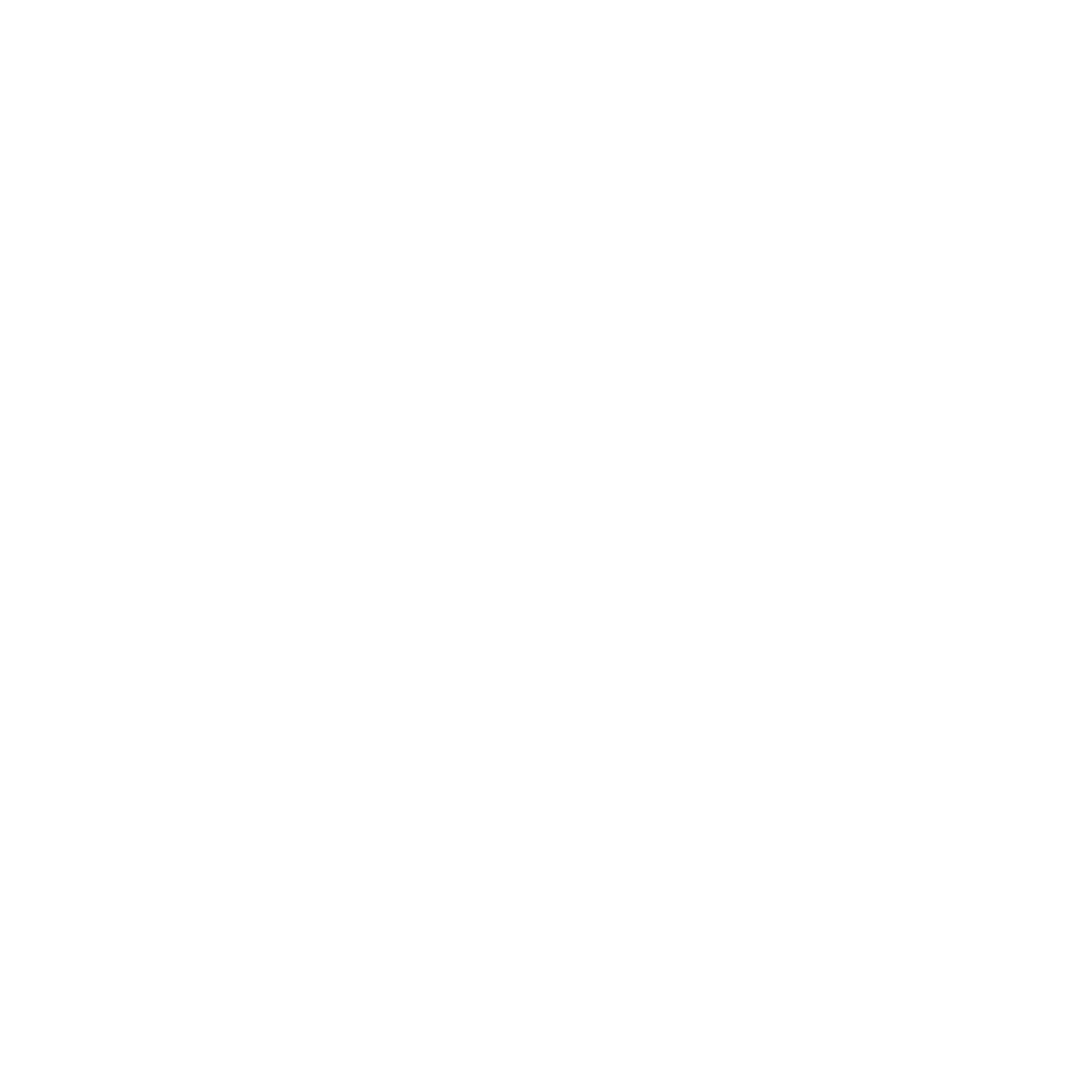 Platform Pykelet logo